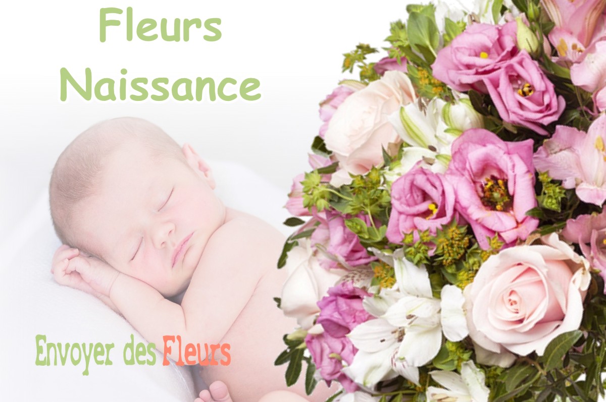 lIVRAISON FLEURS NAISSANCE à ARBOIS